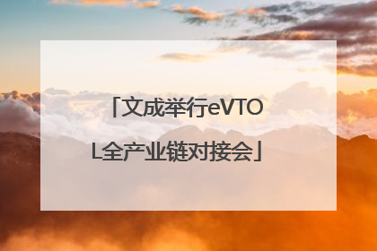 文成举行eVTOL全产业链对接会